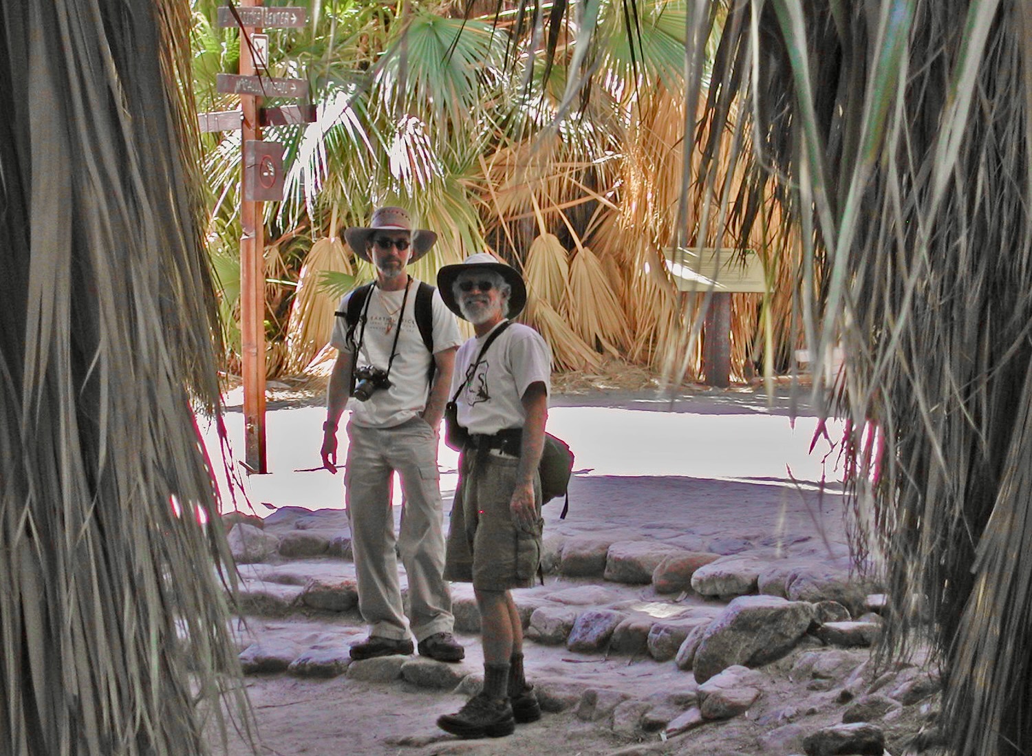 Paul Jacobson And Mike Hamilton